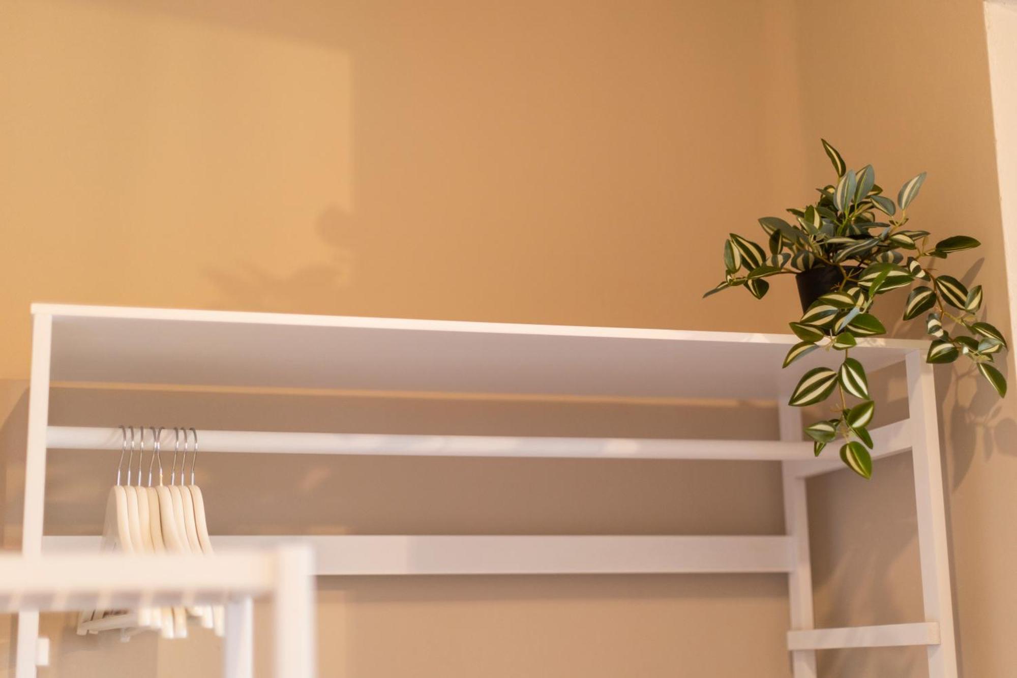 ריבאדאו Apartamentos Gurugu מראה חיצוני תמונה